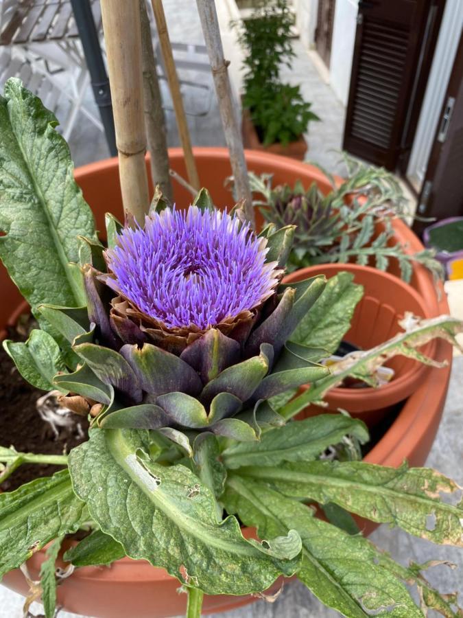 Officinale Rome Apartment, Pineta Sacchetti 외부 사진