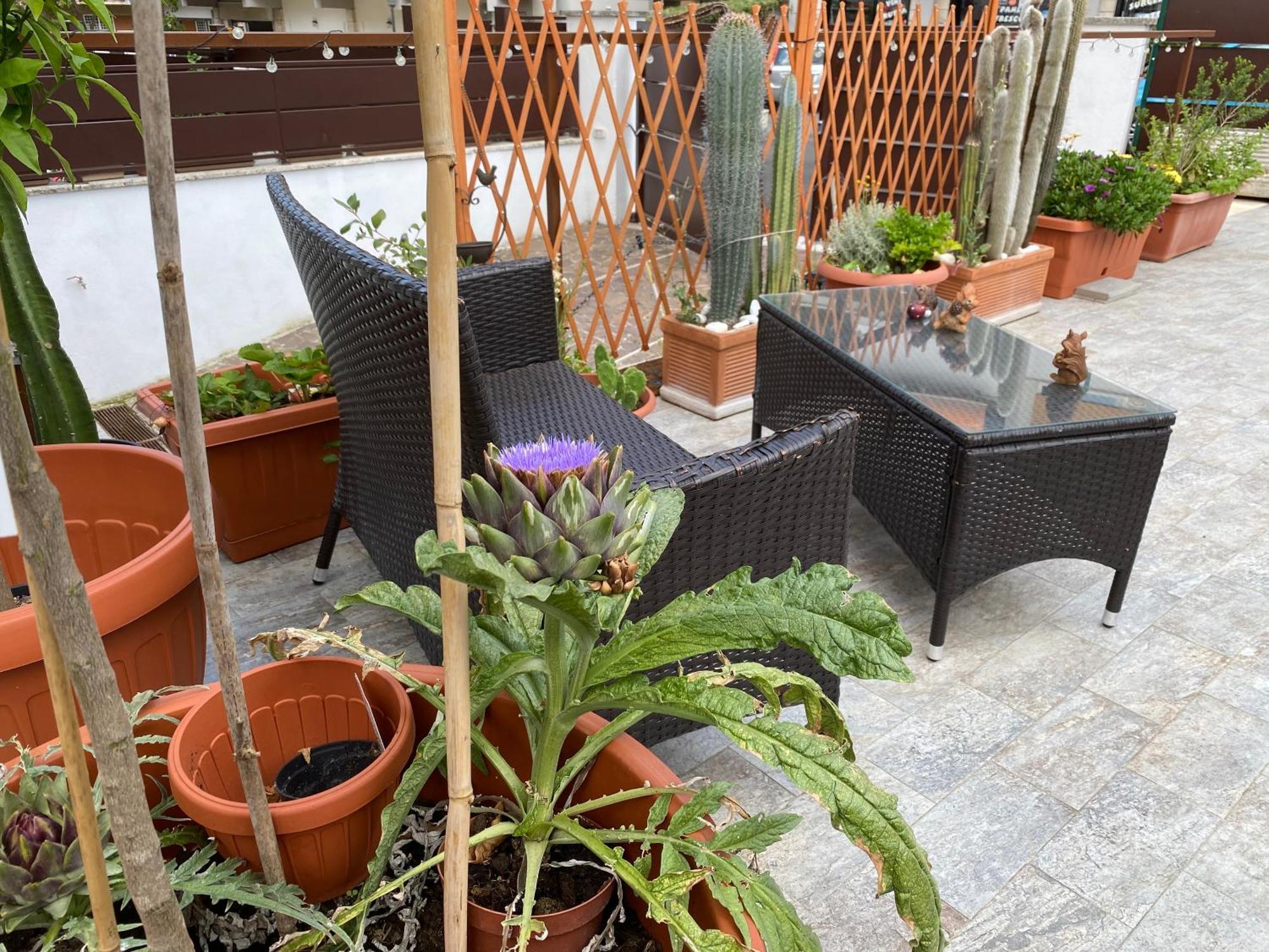 Officinale Rome Apartment, Pineta Sacchetti 외부 사진